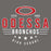 Close-up view of Odessa High School Bronchos Dark Grey Classic Unisex T-shirt 217