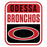 Close-up view of Odessa High School Bronchos Unisex 3/4 sleeve Raglan T-shirt 001