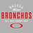 Close-up view of Odessa High School Bronchos Unisex 3/4 sleeve Raglan T-shirt 040