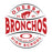 Close-up view of Odessa High School Bronchos Unisex 3/4 sleeve Raglan T-shirt 218