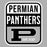Close-up view of Permian High School Panthers Grey Classic Unisex T-shirt 001