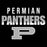 Close-up view of Permian High School Panthers Unisex 3/4 sleeve Raglan T-shirt 024
