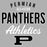 Logo for Permian All-Star Panthers Athletics on a gray background - classic t-shirts design 034