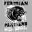 Close-up view of Permian High School Panthers Unisex 3/4 sleeve Raglan T-shirt 205