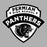 Close-up view of Permian High School Panthers Unisex 3/4 sleeve Raglan T-shirt 221