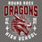 Close-up view of Round Rock High School Dragons Dark Grey Classic Unisex T-shirt 204