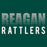 Reagan Rattlers High School Premium Evergreen T-shirt 24