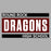 Close-up view of Round Rock High School Dragons Unisex 3/4 sleeve Raglan T-shirt 098