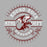 Close-up view of Round Rock High School Dragons Unisex 3/4 sleeve Raglan T-shirt 201