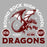 Close-up view of Round Rock High School Dragons Women's Grey SoftStyle T-shirt 208