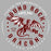 Close-up view of Round Rock High School Dragons Women's Grey SoftStyle T-shirt 214