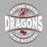 Close-up view of Round Rock High School Dragons Women's Grey SoftStyle T-shirt 218