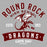Close-up view of Round Rock High School Dragons Grey Classic Unisex T-shirt 221