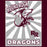 Close-up view of Round Rock High School Dragons Maroon Classic Unisex T-shirt 226