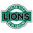 A circular green, white, and black 'Spring High Lions We're Amazing' graphic design on a plain white background. Spring High School Lions Unisex 3/4 Sleeve Raglan T-shirt 011