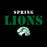 A black square graphic with the words 'SPRING LIONS' in large distressed lettering and a white-and-green lion head logo below. 'SPRING' is in white, and 'LIONS' is in dark green. Spring High School Lions Unisex 3/4 Sleeve Raglan T-shirt 017