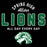 A black graphic design featuring the text 'SPRING HIGH Allstar LIONS ALL DAY EVERY DAY' in white and green varsity-style lettering, with a green and white lion head illustration below. Spring High School Lions Black Classic Unisex T-shirt 040