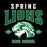 A black graphic design featuring the words 'SPRING LIONS HIGH SCHOOL' in white and green varsity-style lettering, with a green-and-white lion head mascot in the center and small diamond-shaped 'ATHL' and 'DEPT' elements on either side. Spring High School Lions Unisex 3/4 Sleeve Raglan T-shirt 213