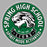 A circular green, white, and black Spring High School Lions sticker or decal design on a plain gray background. The design features a roaring lion head in the center, with the text 'SPRING HIGH SCHOOL', 'EST 1969', 'WE ARE ONE', 'LIONS', and 'SPIRIT MODE ACTIVATED' in bold lettering. Spring High School Lions Unisex 3/4 Sleeve Raglan T-shirt 215A