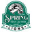 A vintage-style school crest or logo reading 'SPRING HIGH SCHOOL' with a lion head illustration, 'EST 1969,' and 'SPIRIT MODE ACTIVATED LIONS' on a white background. Spring High School Lions Unisex 3/4 Sleeve Raglan T-shirt 219