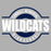 Close-up view of Tomball Memorial High School Wildcats Grey Classic Unisex T-shirt 011