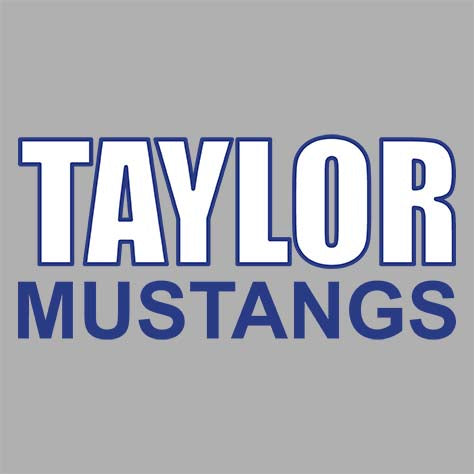 Taylor High School Sports Grey Classic T-shirt 10