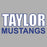 Taylor High School Sports Grey Classic T-shirt 10