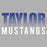 Close-up view of Taylor High School Mustangs Grey Classic Unisex T-shirt 024