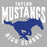 Close-up view of Taylor High School Mustangs Unisex 3/4 sleeve Raglan T-shirt 213