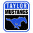 Close-up view of Taylor High School Mustangs Unisex 3/4 sleeve Raglan T-shirt 001