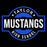 A circular blue and white graphic with distressed text reading 'TAYLOR MUSTANGS HIGH SCHOOL' on a black background. Taylor High School Mustangs Black Classic Unisex T-shirt 011