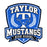 Close-up view of Taylor High School Mustangs Unisex 3/4 sleeve Raglan T-shirt 020