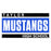 Close-up view of Taylor High School Mustangs Unisex 3/4 sleeve Raglan T-shirt 098