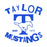 Close-up view of Taylor High School Mustangs Unisex 3/4 sleeve Raglan T-shirt 228