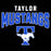 Taylor Mustangs graphic design featuring the word 'TAYLOR' in white block letters above 'MUSTANGS' in large blue varsity-style letters with white outlines, and a white Mustang logo inside a blue block at the bottom, all on a black background. Taylor High School Mustangs Black Classic Unisex T-shirt 234