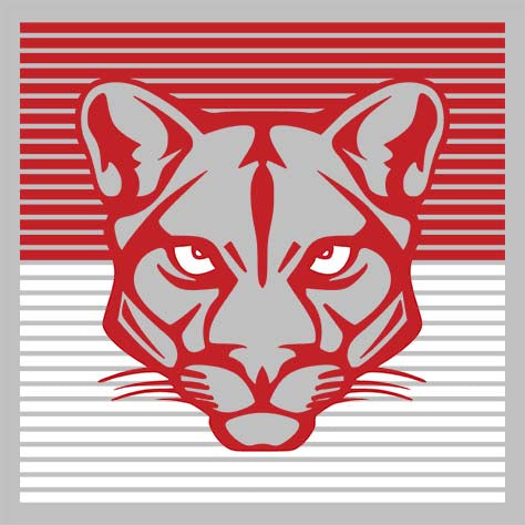 Close-up of Tomball High School Cougars Unisex 3/4 sleeve Raglan T-shirt 27