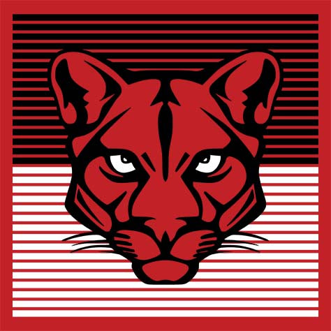 Close-up of Tomball High School Cougars Classic Unisex Red T-shirt 27