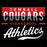 Close-up of Tomball Cougars Premium Black Hoodie - Design 48