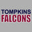 Tompkins High School Grey Unisex T-shirt 10