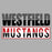 Close-up view of Westfield High School Mustangs Unisex 3/4 sleeve Raglan T-shirt 031