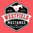 Close-up view of Westfield High School Mustangs Women's Heather Red T-shirt 209