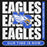 Close-up view of New Caney High School Eagles Black Premium Unisex Hoodie 235