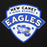 Close-up view of New Caney High School Eagles Black Premium Unisex Hoodie 221