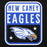 Close-up view of New Caney High School Eagles Black Premium Unisex Hoodie 001