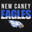 Close-up view of New Caney High School Eagles Black Premium Unisex Hoodie 024