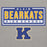 Close-up view of Klein High School Bearkats Carbon Grey Premium Unisex Hoodie 049