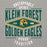 Close-up view of Klein Forest High School Golden Eagles Premium Carbon Grey Unisex Hoodie 210