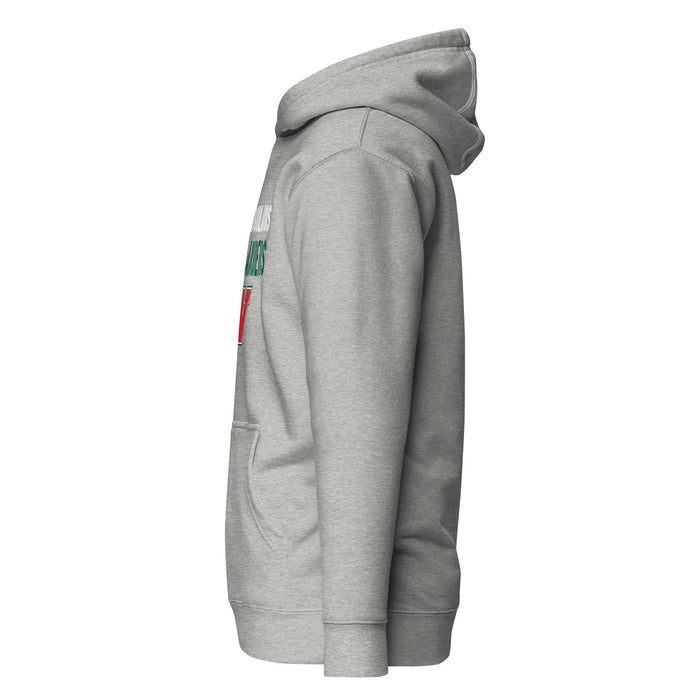 Side view of The Woodlands High School Highlanders Carbon Grey Premium Unisex Hoodie 024