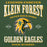 Close-up view of Klein Forest High School Golden Eagles Premium Forest Green Unisex Hoodie 230