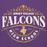 Close-up view of Jersey Village High School Falcons Premium Purple Hoodie 211